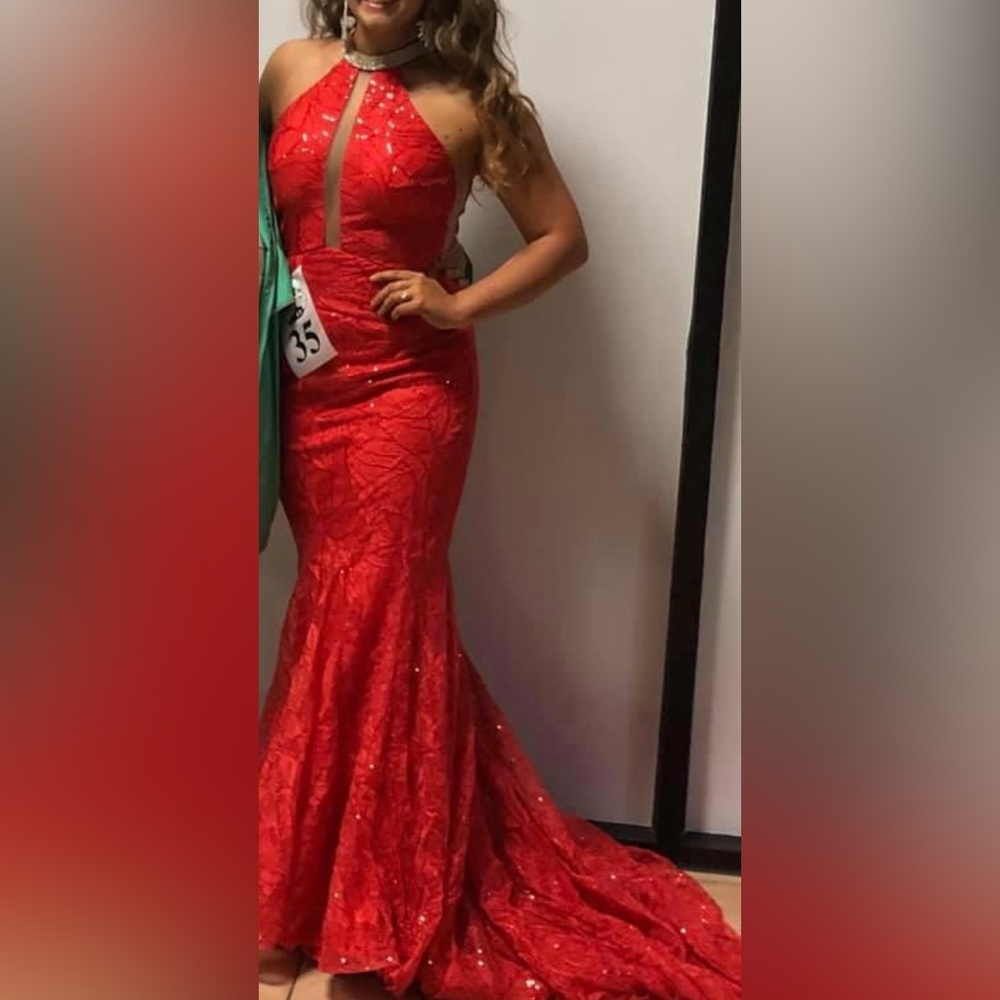 Jonathan Kayne One of a Kind Dress! Size 4, perfect condition! Only worn twice!